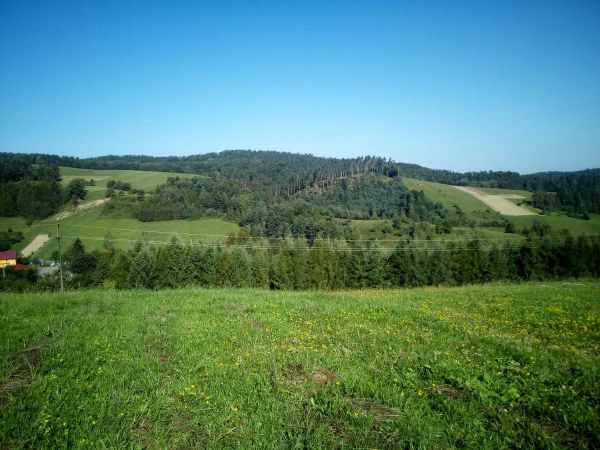 Bjorkowo Villa Polańczyk Buitenkant foto